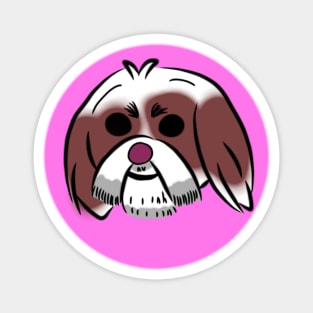 Shih Tzu Magnet