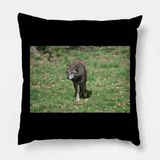 Wolf Pillow