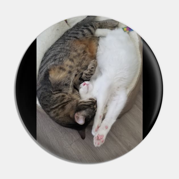 Real cat ying yang Pin by Psychodelic Finger lakes