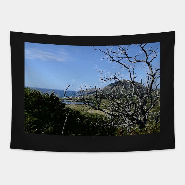 View from a Hilltop in Oahu Tapestry by seacucumber