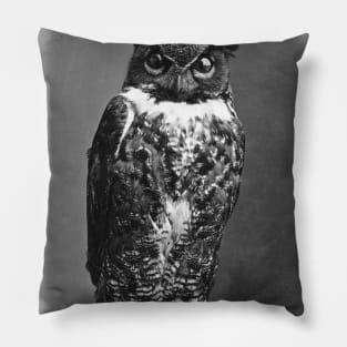 QAA Moloch the Owl T-Shirt (for dark backgrounds) Pillow