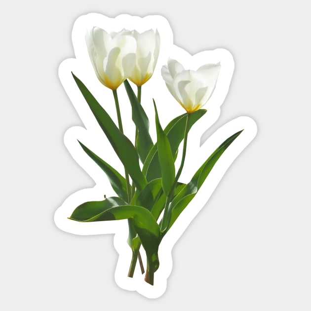 Tulips Aesthetic Stickers Flowers