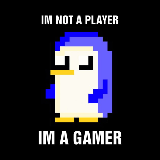 Im Not A Player Im A Gamer by richercollections