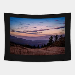 Colorful sunset mountains Tapestry