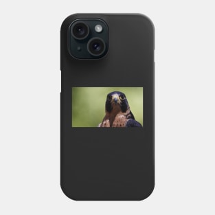 Peregrine Falcon Phone Case