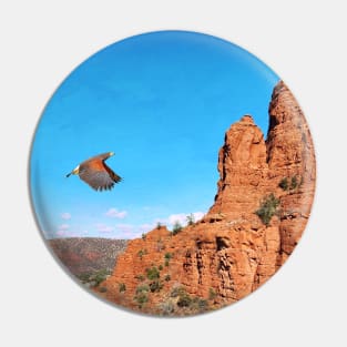 Red Shouldered Hawk in Sedona Arizona Pin