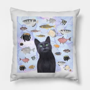 The Hungry Black Cat Gazing at a Fish Tank Pillow