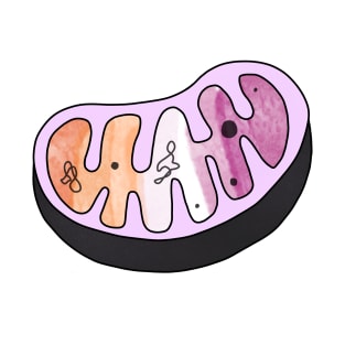 LGBTQ Mitochondria Powerhouse T-Shirt