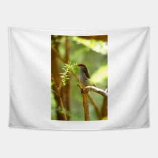 Nesting Material Tapestry