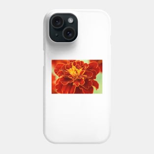 Tagetes patula  &#39;Red Cherry&#39;  French marigold Phone Case