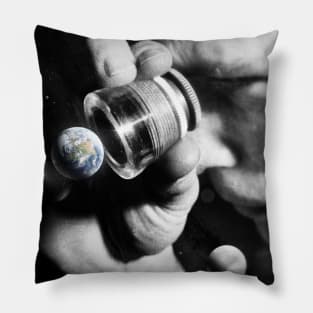 Earth Check Pillow