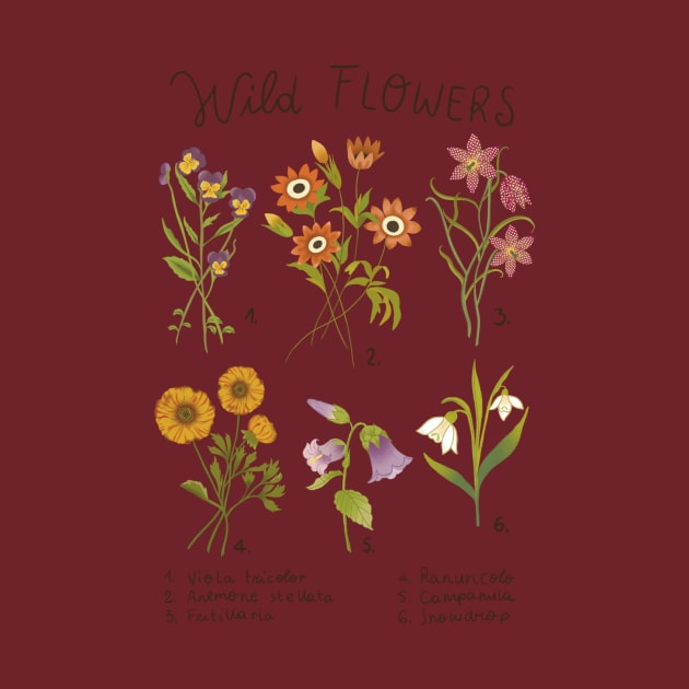 Wild flowers by Carlotta Illustration