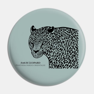 Amur Leopard with Common and Latin Names - endangered animal design Pin