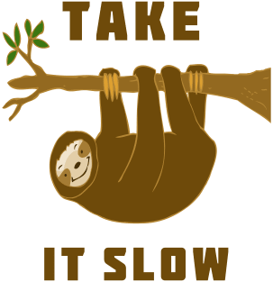 Take It Slow Sloth Magnet