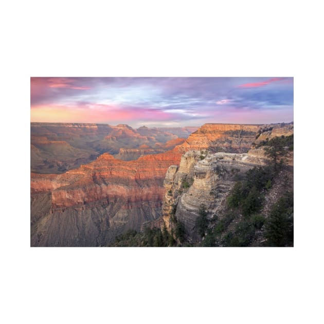 Grand Canyon by jswolfphoto