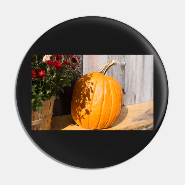 pumpkin on the bench Pin by sma1050