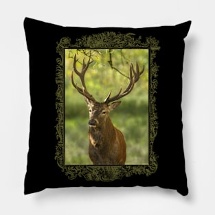 Pure Wildlife: Deer Bull Pillow