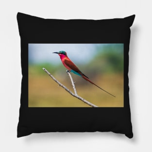 Southern Carmine Bee-eater (Merops nubicoides) Pillow