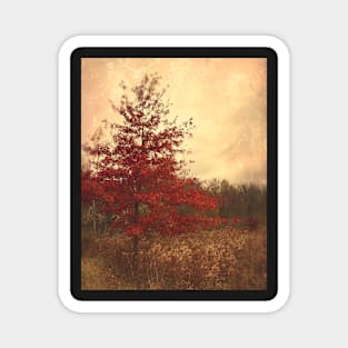 Red Oak Tree Magnet