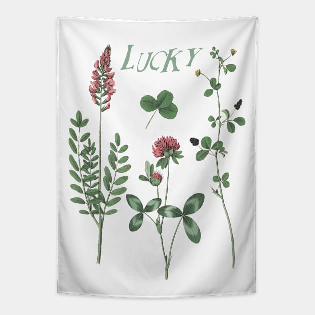 Irish Clover Botanical Illustration wit Text Tapestry by Biophilia