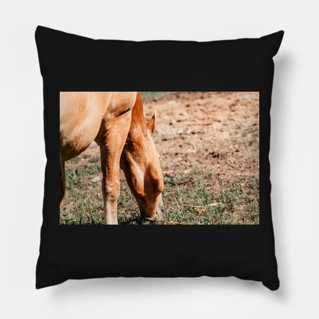 Haflinger on a pasture in summer Pillow by M-Hutterer