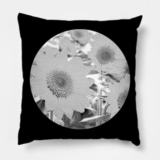 Sunny Field Pillow