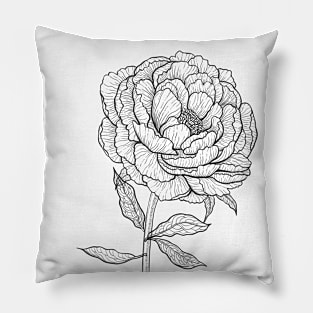 Peony drawing 3 Pillow