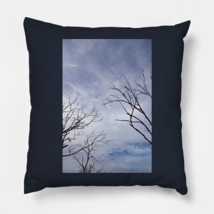 Black dead gum tree limbs. Pillow