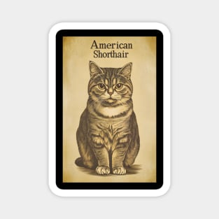 American Shorthair Cat Vintage Wall Art Magnet