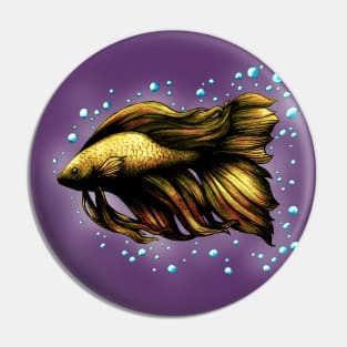 Yellow Siamese Fighting Fish (Betta Splendens) Pin