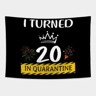 I Turned 20 In Quarantine Birthday Tapestry