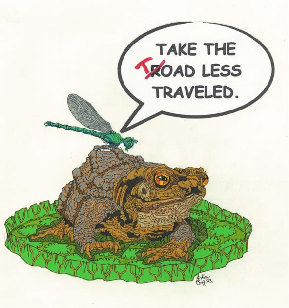 Toad Less Traveled Kids T-Shirt by SnowFlake Comix