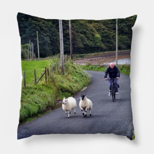 Sheep on the road - Campbeltown, Scotland Pillow