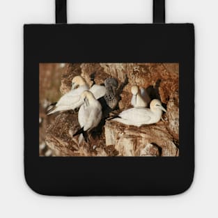 Preening Tote