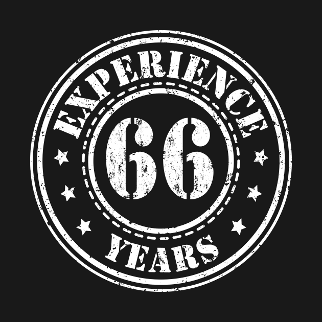 Gift ideas for the 66th birthday experience by HBfunshirts