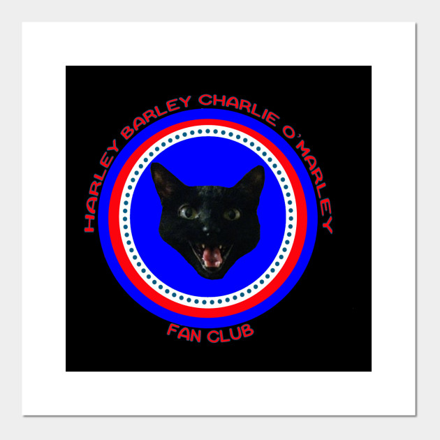 Harley Barley Charlie O Marley Blac Cat Posters And Art Prints