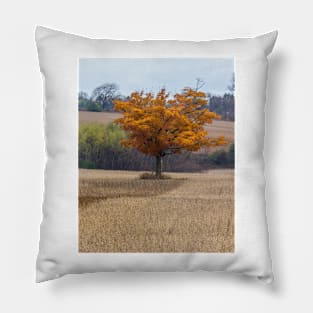 Fall Tree In Field 1 Pillow