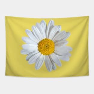 Marguerite on yellow Tapestry