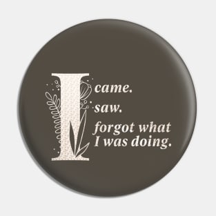 I came. I saw. I forgot. Again. Pin