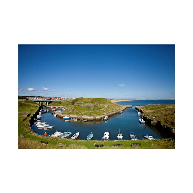 Seaton Sluice Summer Sunshine by Violaman