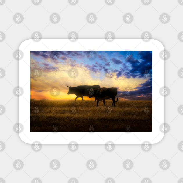 Pair Of Cows At Sunset photograph Magnet by art64