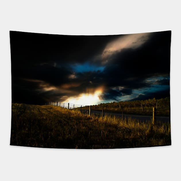 Evening Light Tapestry by jwwallace