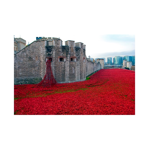 Tower of London Red Poppy by AndyEvansPhotos