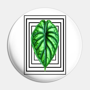 Alocasia Dragon Scale Pin