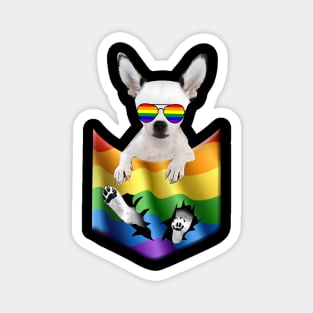 Chihuahua In Pocket LGBT Pride Flag For Dog Lovers Magnet