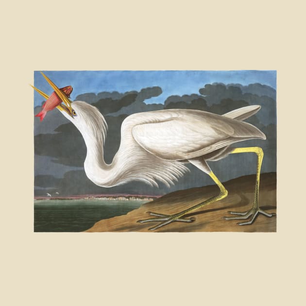 Audubon Great White Heron by Dystopianpalace