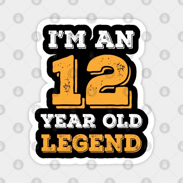 12 Year Old Legend Birthday Gift Magnet by mahmuq