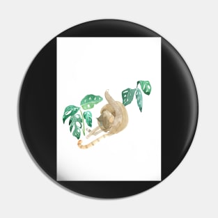 Cat and plants Pin