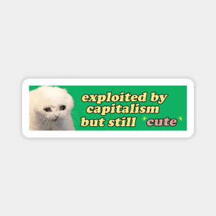 Exploited by Capitalism but Still Cute Bumper Sticker OR Magnet | Gen Z Sticker | Cute Cat Sticker | Sad Crying Cat Sticker | Magnet