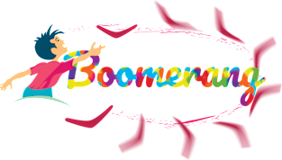 Boomerang Magnet